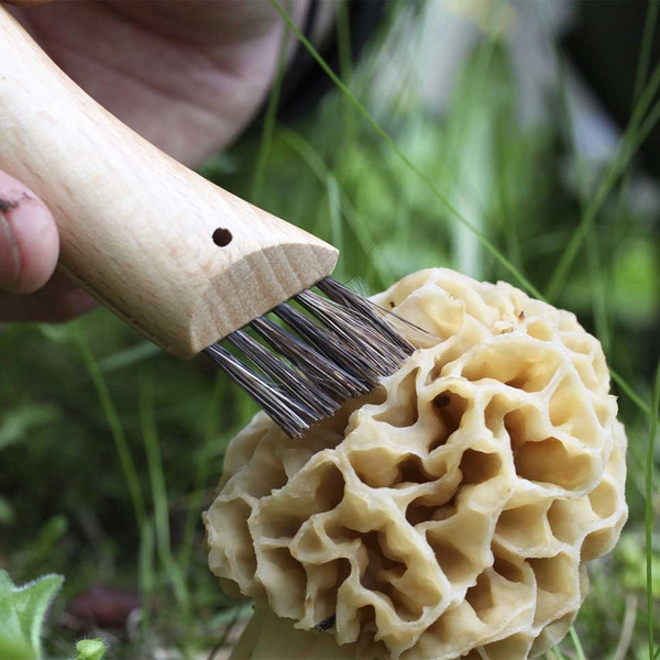 Opinel NO 08 PILZMESSER MIT BÜRSTE, BLISTER - Klappmesser Ansicht 4