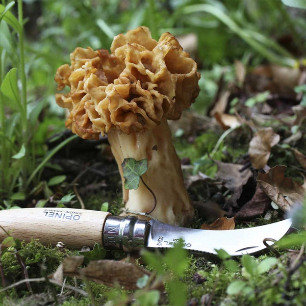 Opinel NO 08 PILZMESSER MIT BÜRSTE, BLISTER - Klappmesser Ansicht 3