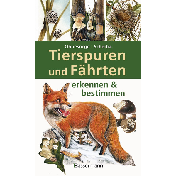 TIERSPUREN UND FÄHRTEN ERKENNEN & BESTIMMEN - Ratgeber Ansicht 1