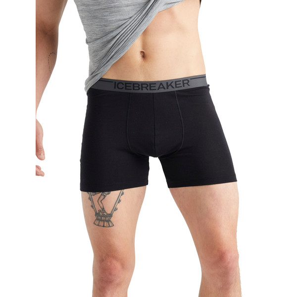 Icebreaker MEN MERINO 150 ANATOMICA BOXERS Herren - Unterhose Ansicht 2