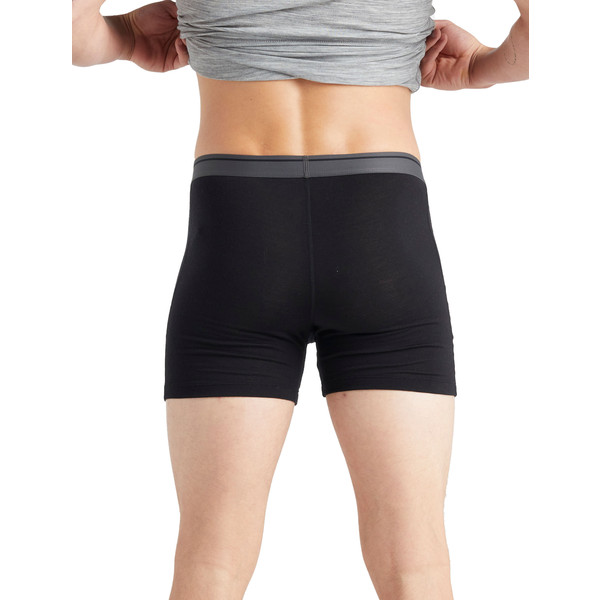 Icebreaker MEN MERINO 150 ANATOMICA BOXERS Herren - Unterhose Ansicht 3