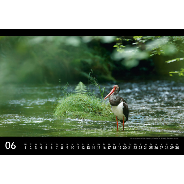 SÄCHSISCHE SCHWEIZ 2026 - Kalender Ansicht 7