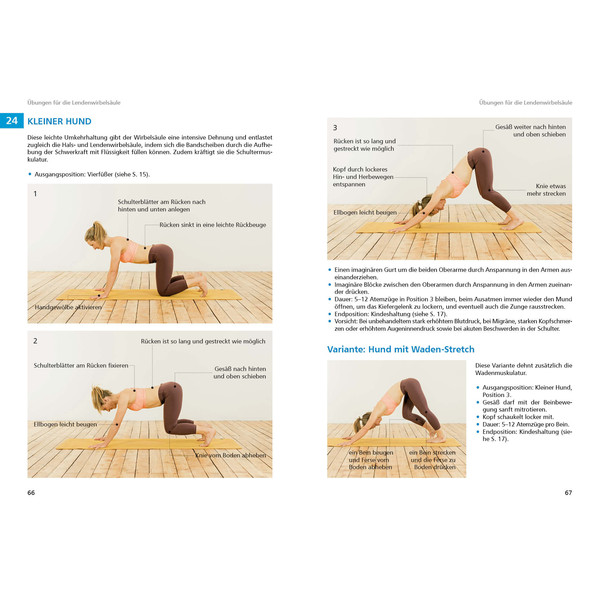 YOGA FÜR KLETTERER UND BERGSPORTLER - Klettertraining Ansicht 3