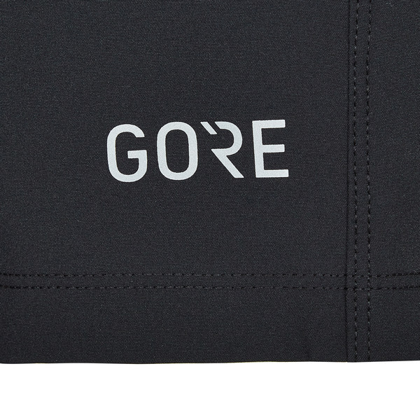 Gore Wear PASSION SHORTS Damen - Radshorts Ansicht 7