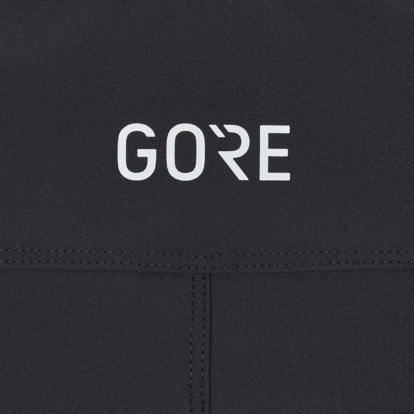 Gore Wear PASSION SHORTS Damen - Radshorts Ansicht 6