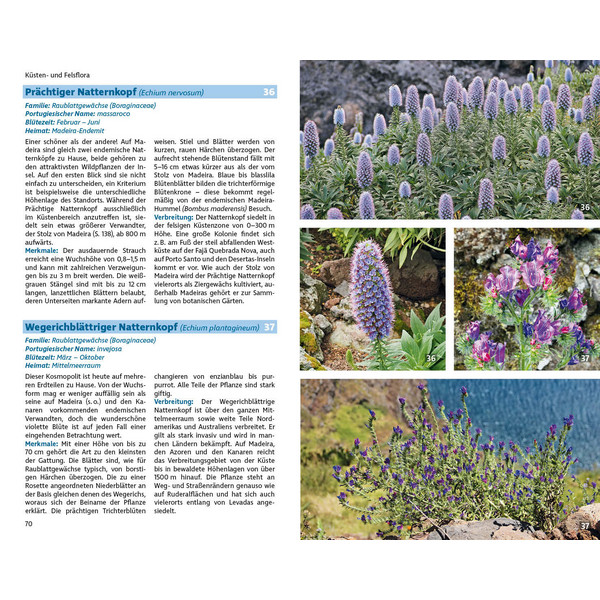 MADEIRAS FLORA - Ratgeber Ansicht 4