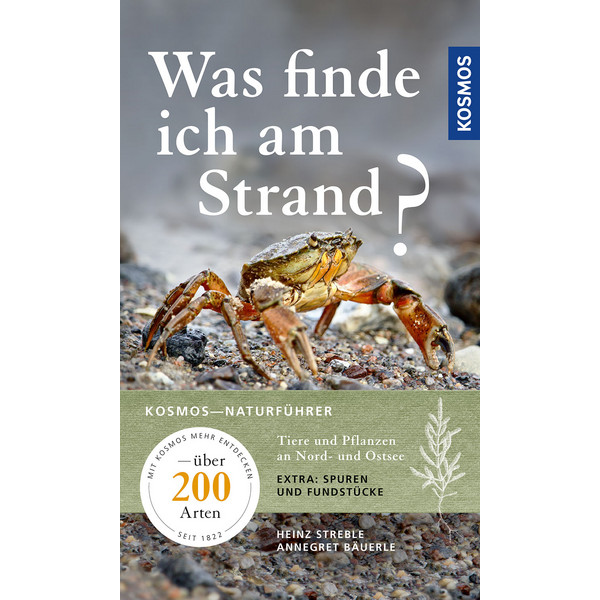 FINDE ICH AM STRAND? - Ratgeber