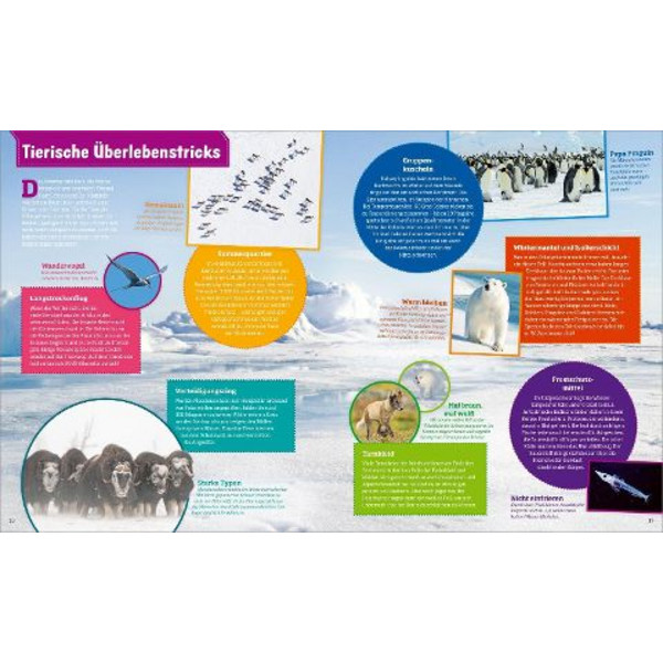 WAS IST WAS POLARSTERN. FORSCHEN IM EIS - Kinderbuch Ansicht 6