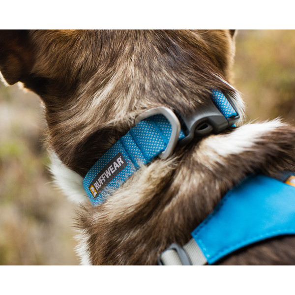 Ruffwear HI & LIGHT COLLAR - Hundezubehör Ansicht 6