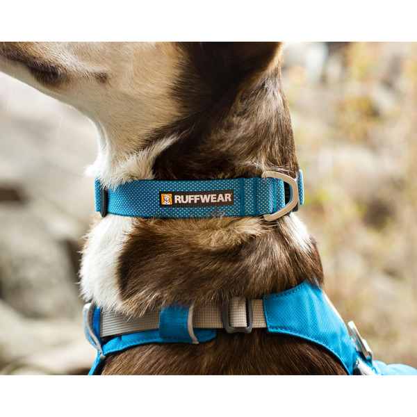 Ruffwear HI & LIGHT COLLAR - Hundezubehör Ansicht 5