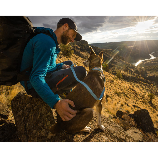 Ruffwear HI & LIGHT COLLAR - Hundezubehör Ansicht 4