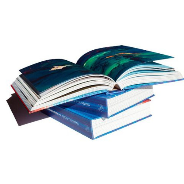DAS KLIMA-BUCH VON GRETA THUNBERG - Sachbuch Ansicht 2