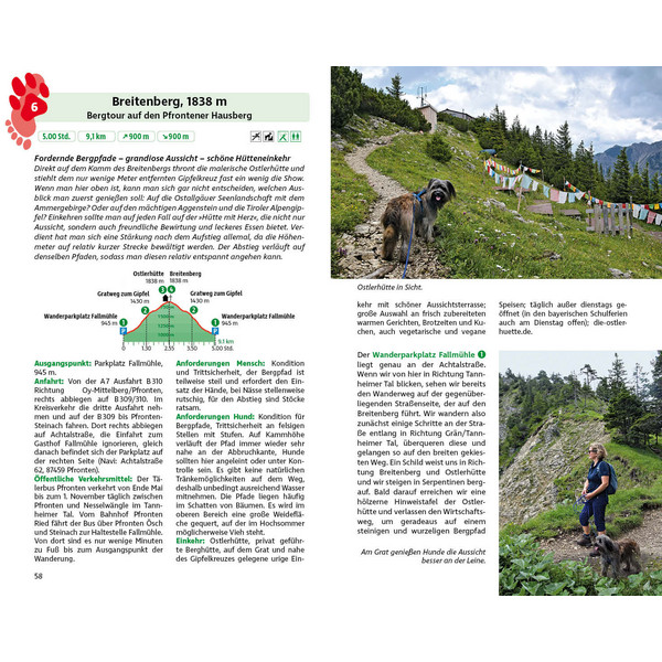WANDERN MIT HUND ALLGÄU - Wanderführer Ansicht 5