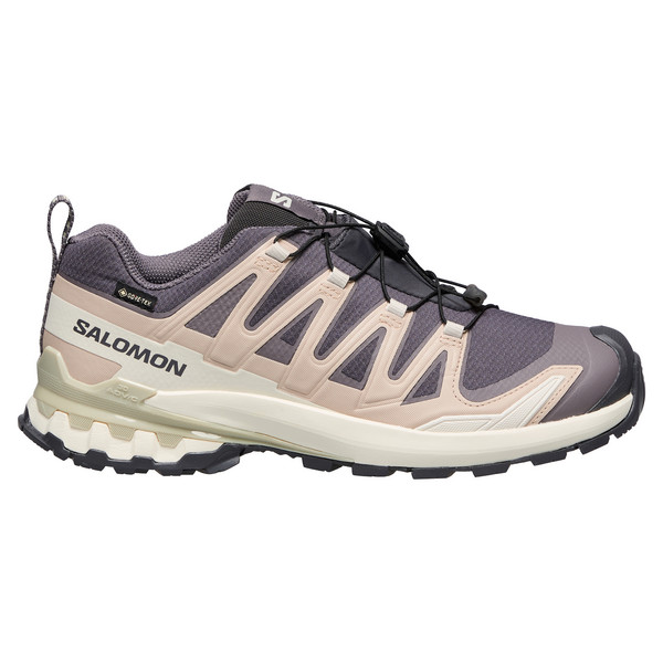 XA PRO 3D V9 GTX W Damen - Wanderschuhe-NINE IRON / OXFORD TAN / ALFAL