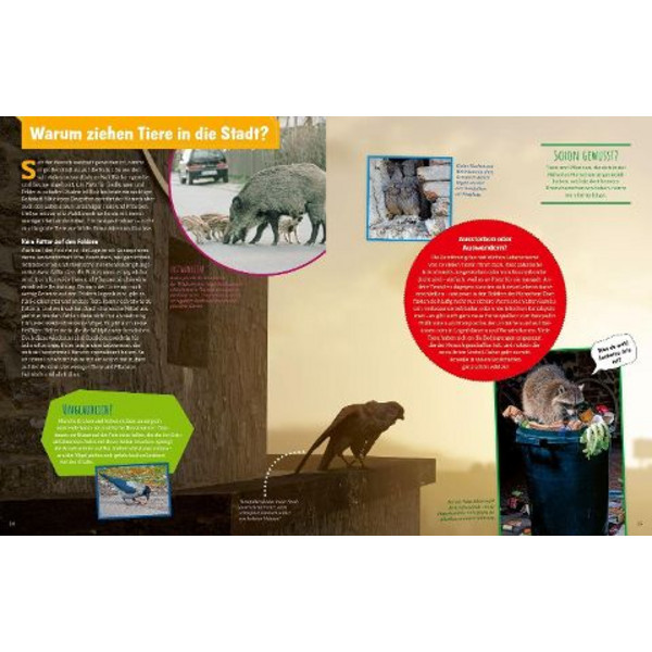 GENIALE NATUR! DIE SUPERTRICKS UNSERER TIERE UND PFLANZEN - Kinderbuch Ansicht 2