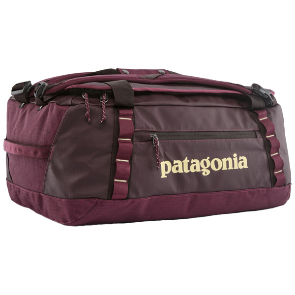 BLACK HOLE DUFFEL 40L - Reisetasche-BERRY FIG