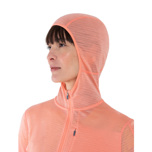 Icebreaker W MERINO 200 REALFLEECE DESCENDER LS ZIP HOODIE Damen - Fleecejacke Ansicht 9