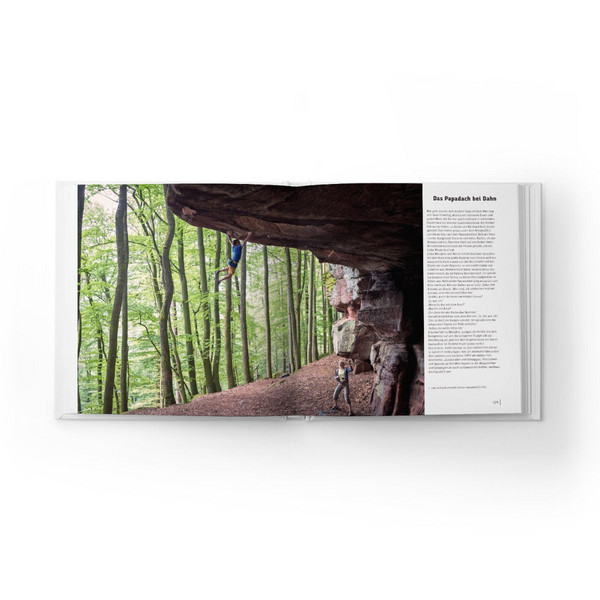 DIE PFALZ - DAS BUCH Ansicht 5