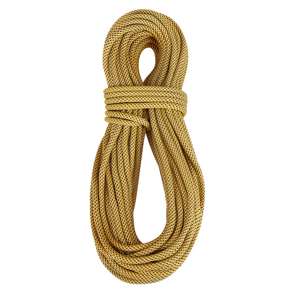 Edelrid SE GLOBETROTTER 9,8MM - Kletterseil