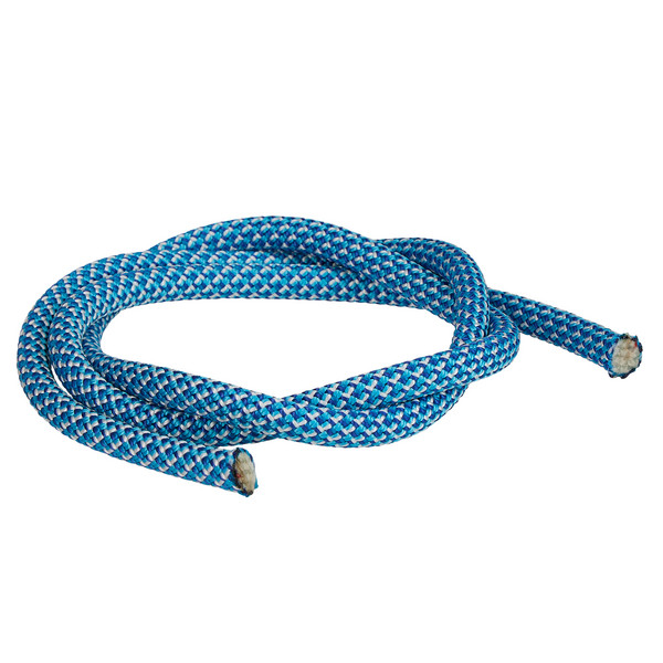 Edelrid SE GLOBETROTTER DRY 9,6MM II - Kletterseil