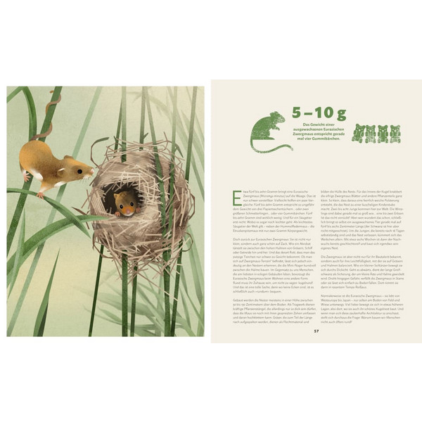 ZU HAUSE BEI DEN WILDEN TIEREN - Kinderbuch Ansicht 6