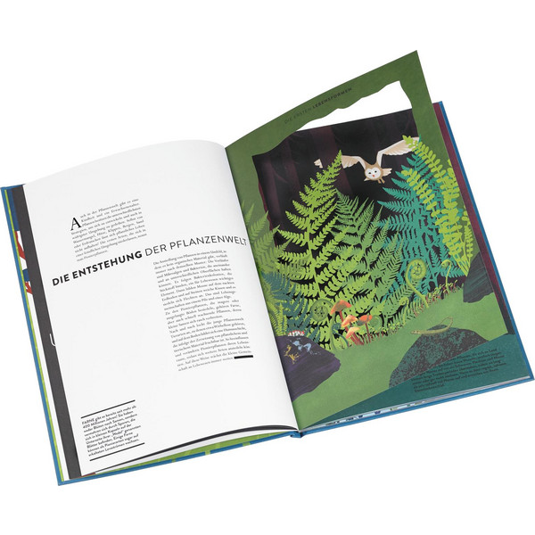 PFLANZEN - Kinderbuch Ansicht 2