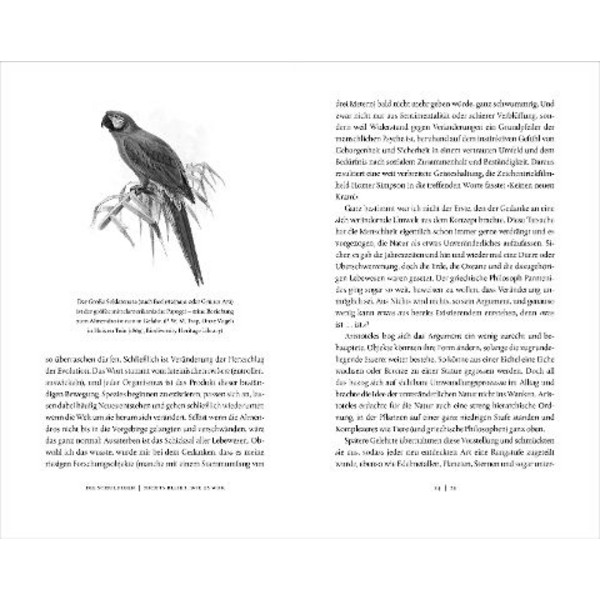 VON SCHRUMPFENDEN TINTENFISCHEN UND WINDFESTEN EIDECHSEN - Sachbuch Ansicht 2