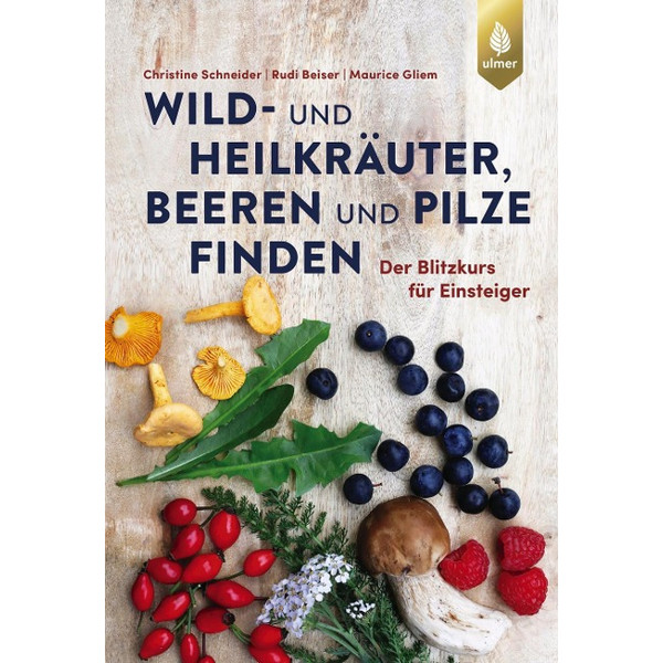 WILD- UND HEILKRÄUTER, BEEREN UND PILZE FINDEN - Sachbuch Ansicht 1