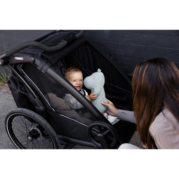 Thule CHARIOT SPORT DOUBLE NATURAL GOLD - Fahrradanhänger Ansicht 12