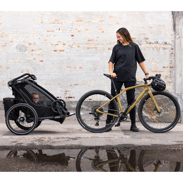 Thule CHARIOT SPORT DOUBLE NATURAL GOLD - Fahrradanhänger Ansicht 14
