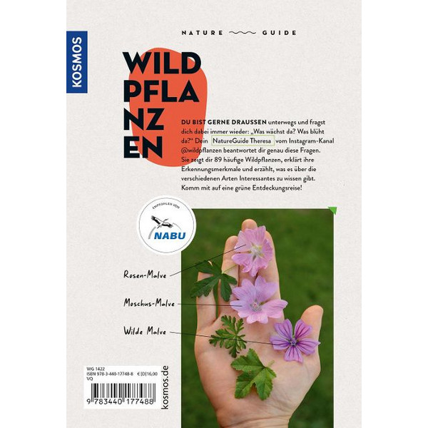 NATURE GUIDE WILDPFLANZEN - Sachbuch Ansicht 2