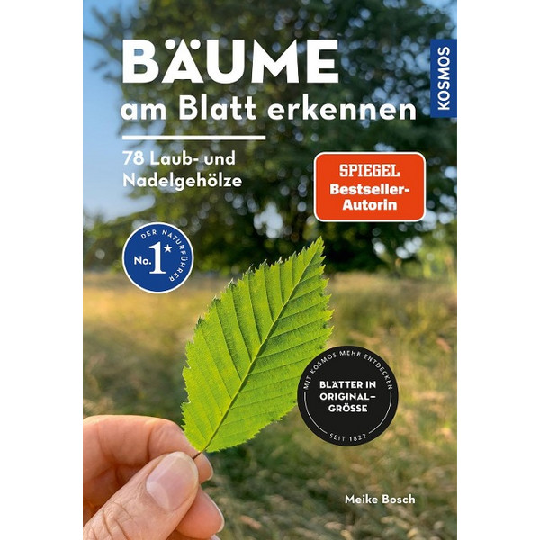 BÄUME AM BLATT ERKENNEN - 78 LAUB- UND NADELGEHÖLZE - Sachbuch