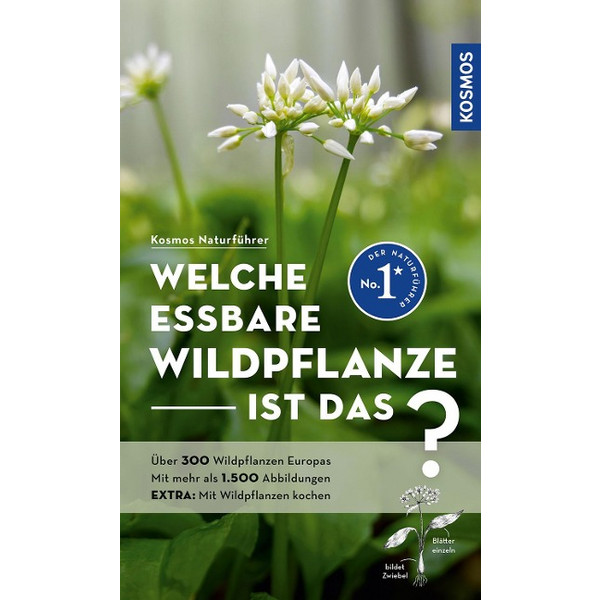 WELCHE ESSBARE WILDPFLANZE IST DAS? - Sachbuch