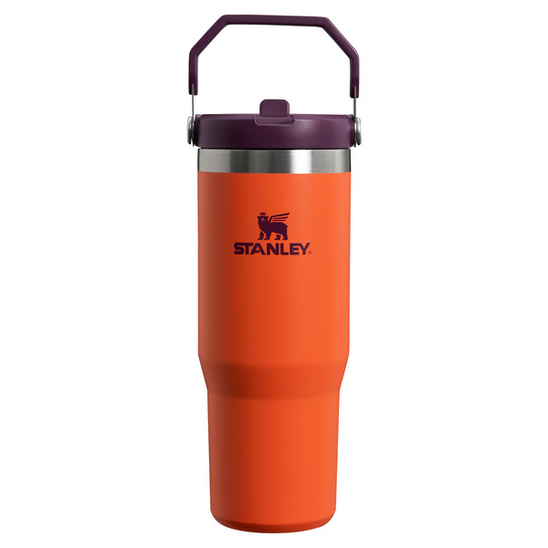 THE ICEFLOW FLIP STRAW TUMBLER - Trinkflasche-TIGERLILY PLUM