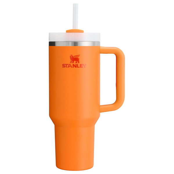 THE QUENCHER H2.O FLOWSTATE TUMBLER - Thermobecher-GOLDENROD CORAL