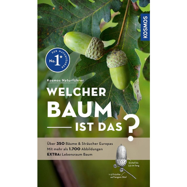 WELCHER BAUM IST DAS? - Sachbuch Ansicht 3