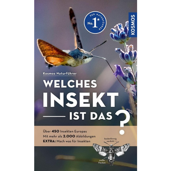 WELCHES INSEKT IST DAS? - Sachbuch Ansicht 1