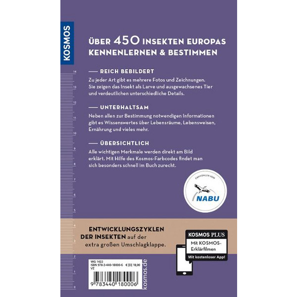 WELCHES INSEKT IST DAS? - Sachbuch Ansicht 2