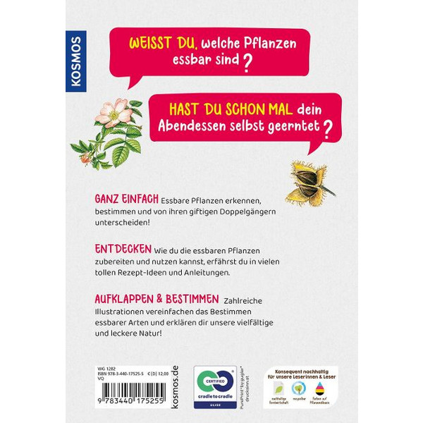 WELCHE ESSBARE PFLANZE IST DAS? KINDERNATURFÜHRER - Kinderbuch Ansicht 4