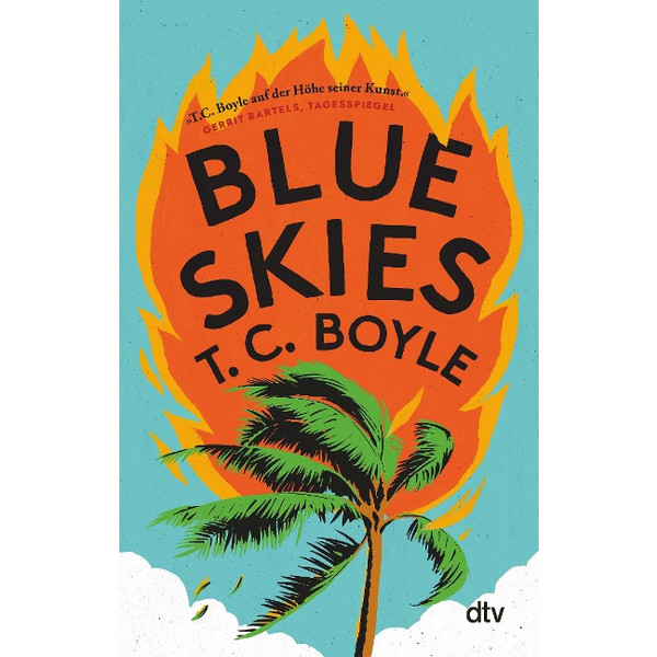 BLUE SKIES - Roman Ansicht 1