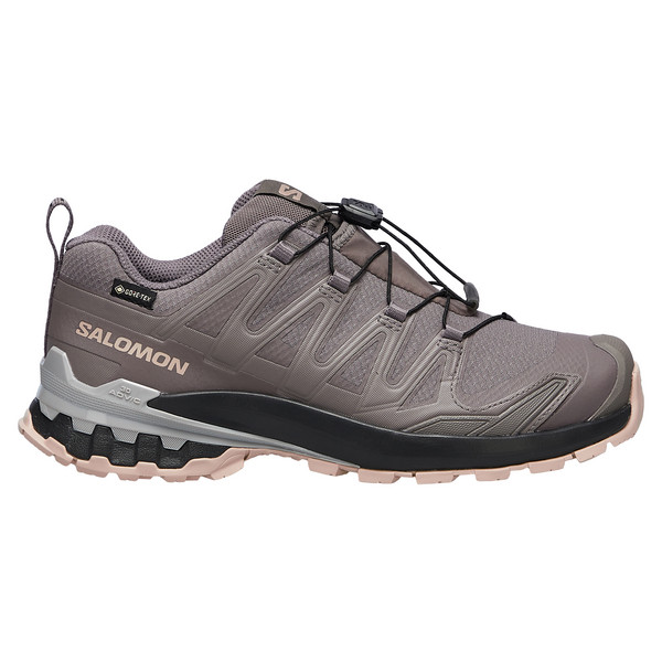 Salomon XA PRO 3D V9 GTX W Damen - Wanderschuhe