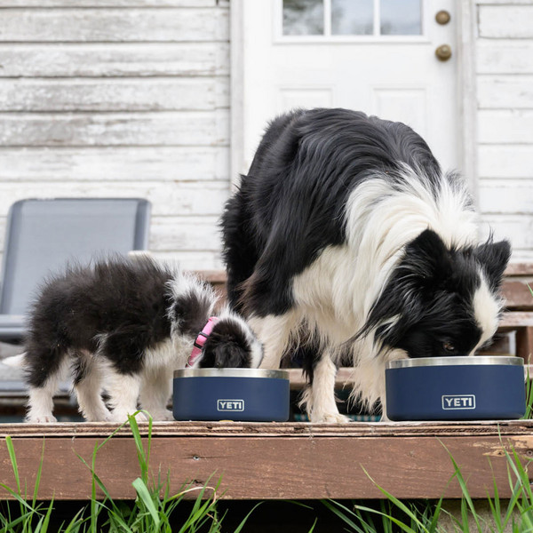 Yeti Coolers BOOMER DOG BOWL - Hundezubehör Ansicht 5