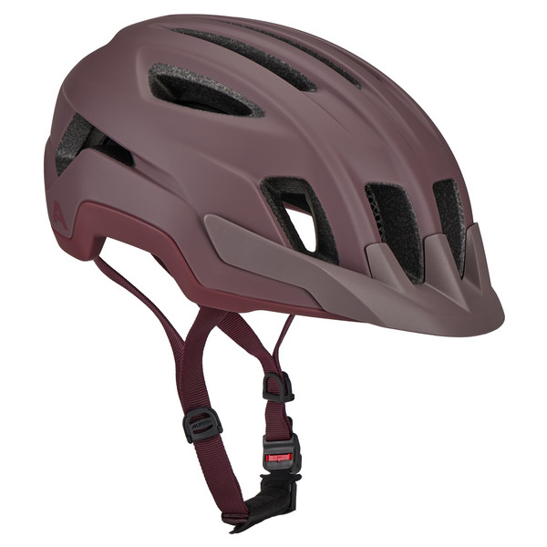 PARANUS MIPS Unisex - Fahrradhelm-RAISIN MATT
