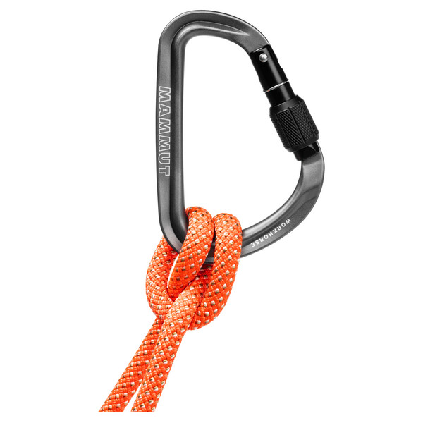 Mammut WORKHORSE HMS SCREWGATE CARABINER - Karabiner Ansicht 3