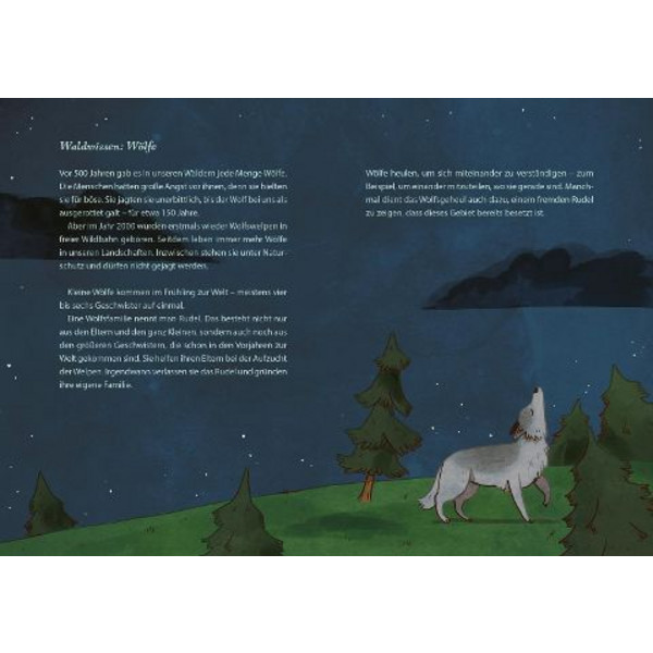 DIE SCHÖNSTEN GESCHICHTEN AUS DEM WALD - Kinderbuch Ansicht 7