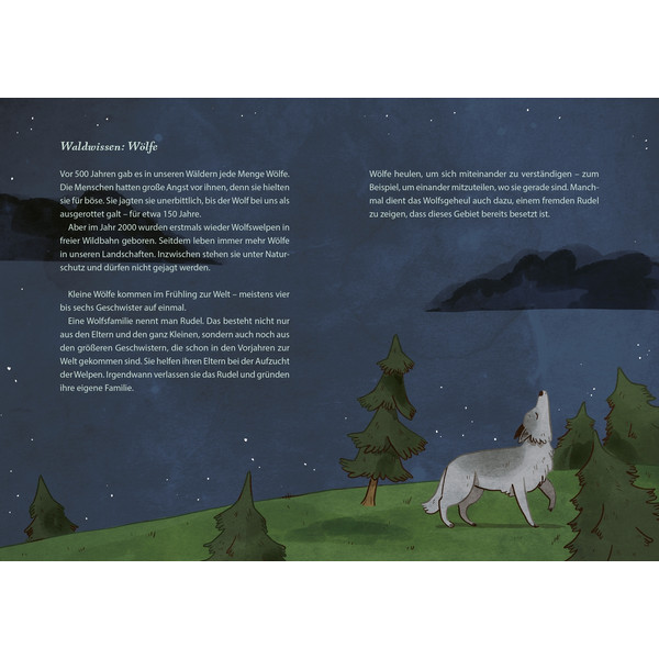 DIE SCHÖNSTEN GESCHICHTEN AUS DEM WALD - Kinderbuch Ansicht 4