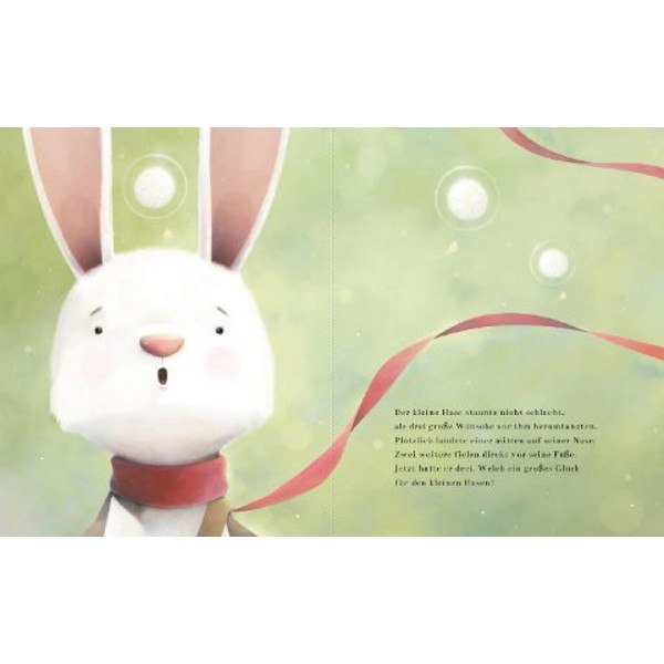 DREI WÜNSCHE FÜR DEN HASEN - Kinderbuch Ansicht 2