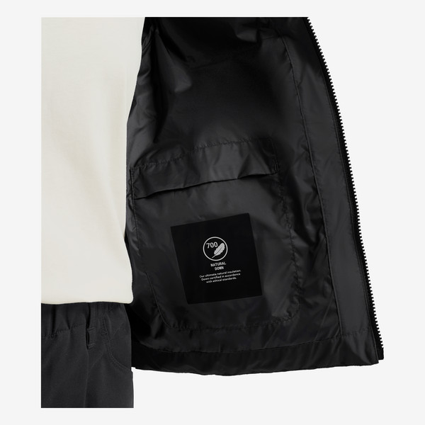 Jack Wolfskin FROZEN PALACE JKT W RDS Damen - Daunenjacke Ansicht 9