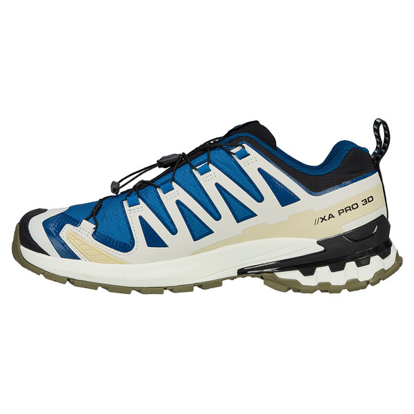 Salomon XA PRO 3D V9 GTX Herren - Wanderschuhe Ansicht 3