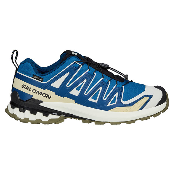 Salomon XA PRO 3D V9 GTX Herren - Wanderschuhe